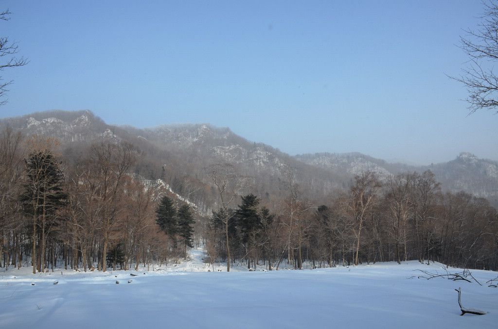 DSC_1056.jpg