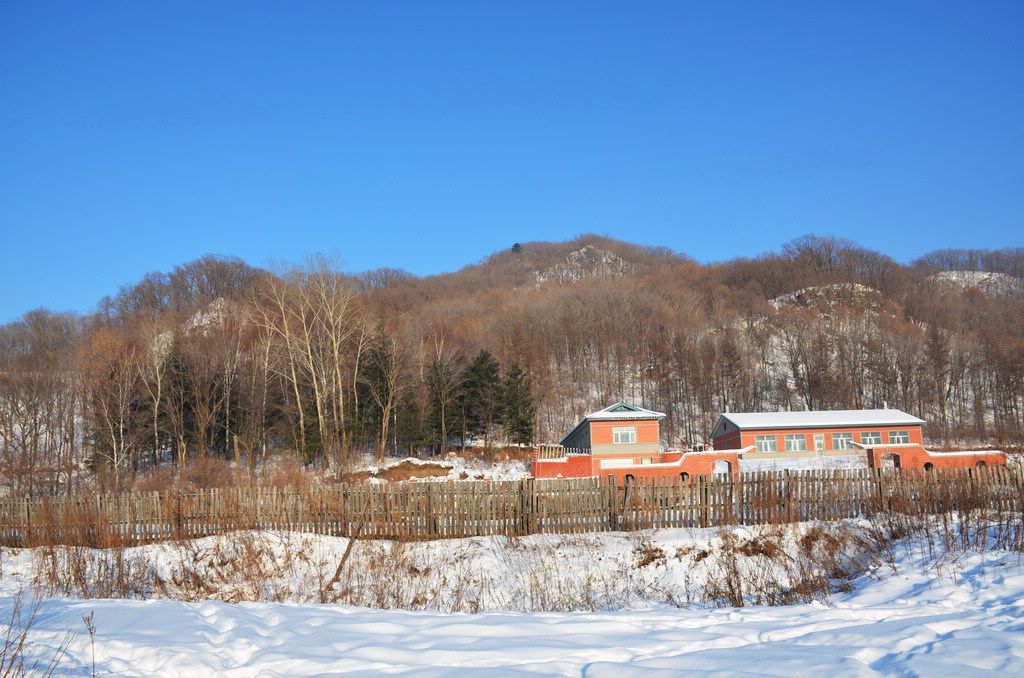 DSC_1103.jpg
