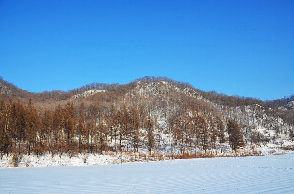 DSC_1105.jpg