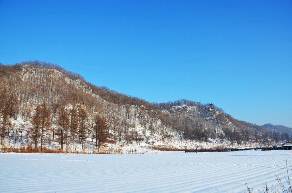 DSC_1106.jpg