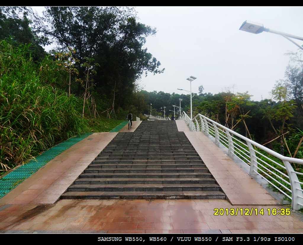 SDC10511.jpg