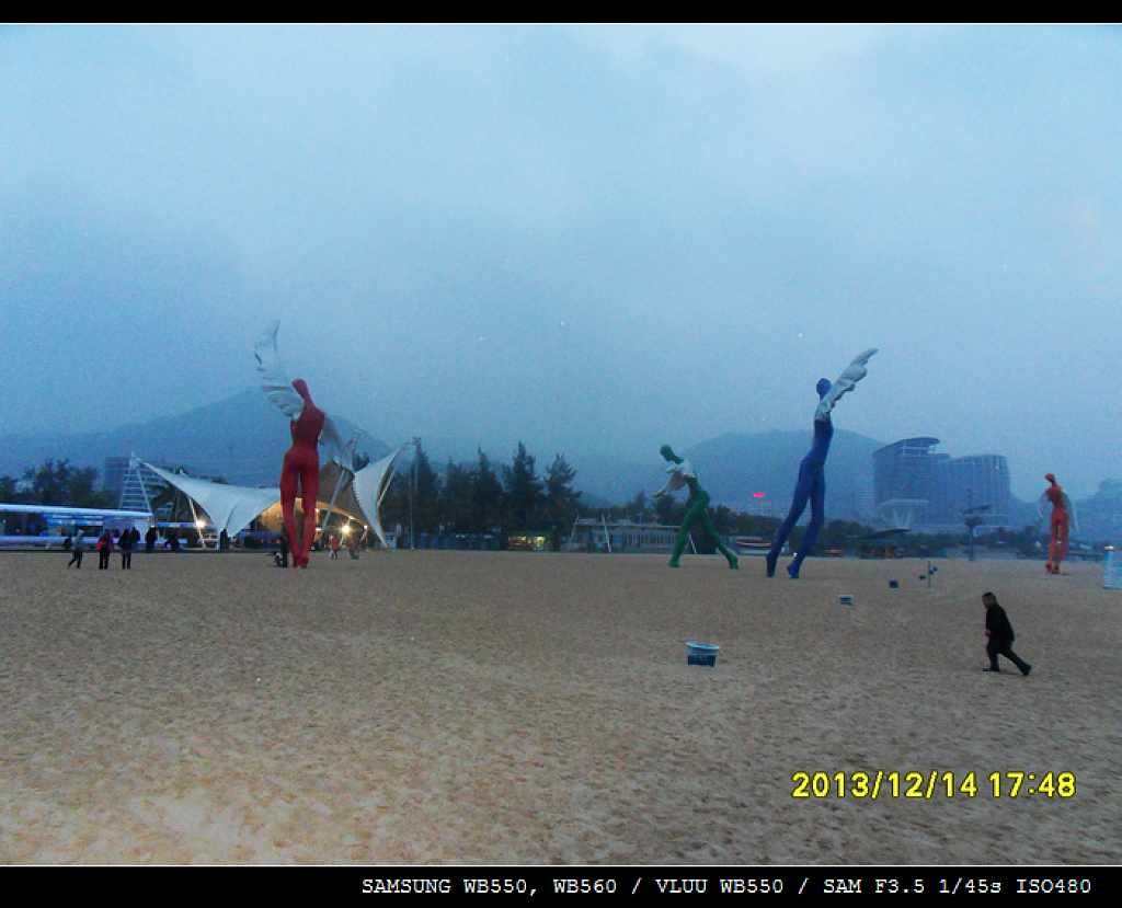 SDC10526.jpg