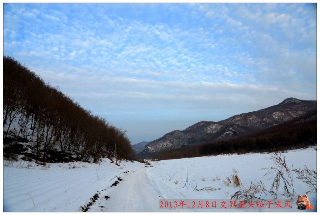 QQͼƬ20131222092422.jpg