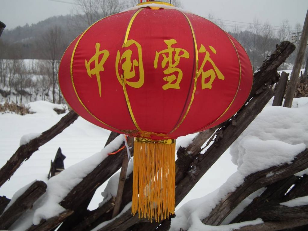 DSCF4783.JPG