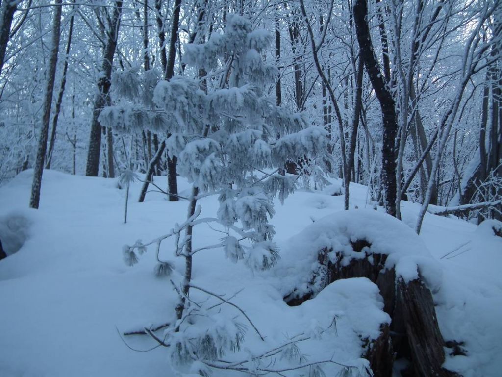 DSCF5626.JPG