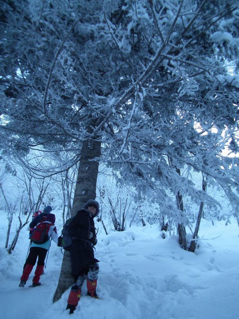 DSCF5745.JPG