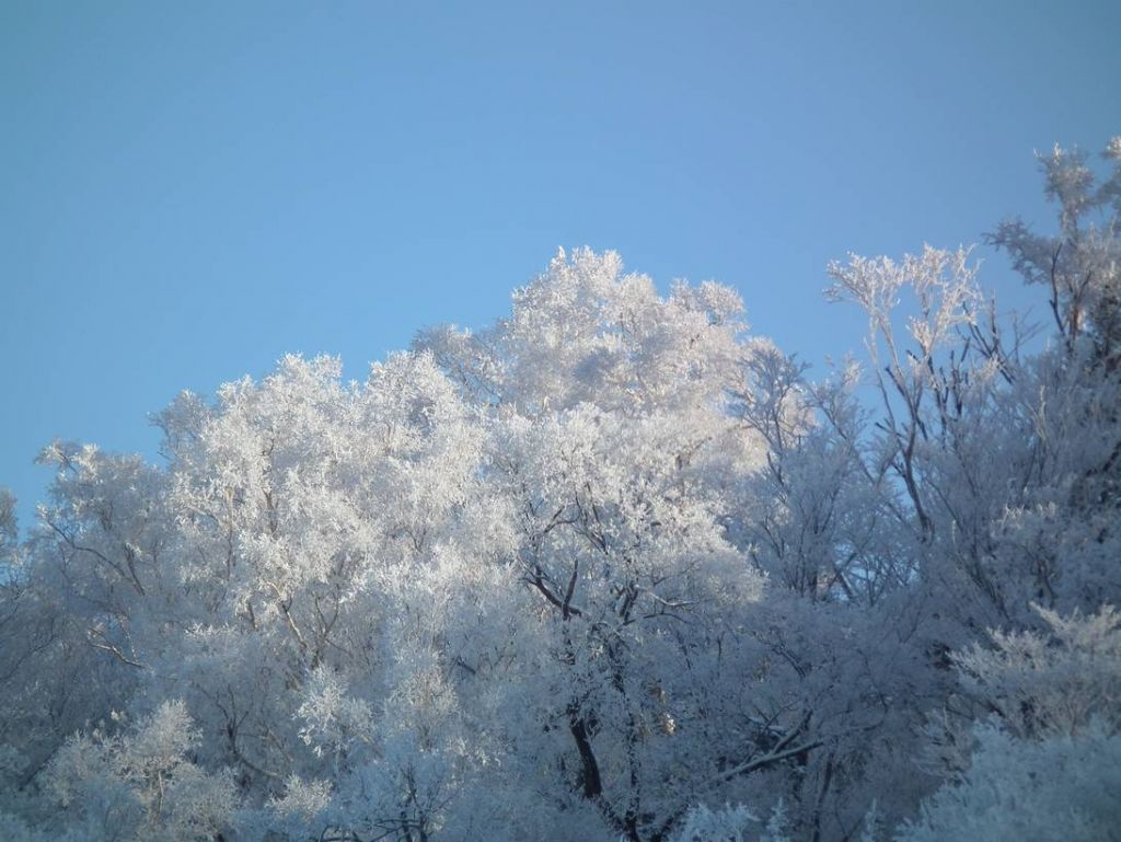 DSCF5679.JPG