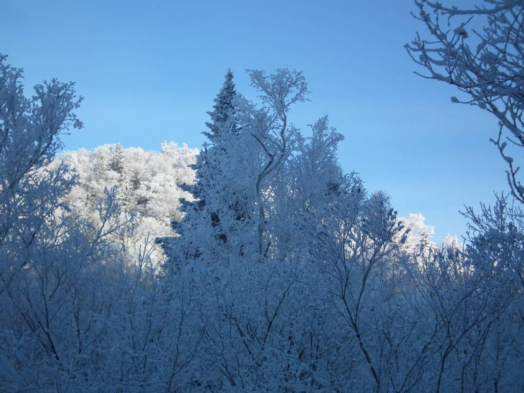 DSCF5722.JPG