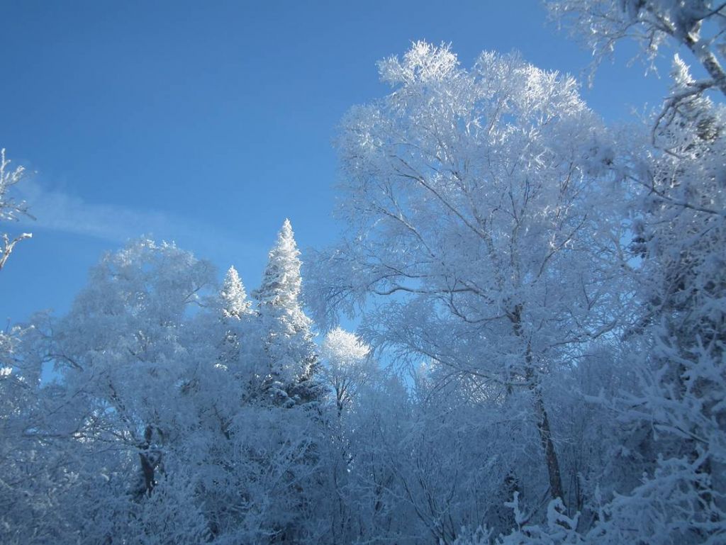 DSCF5798.JPG