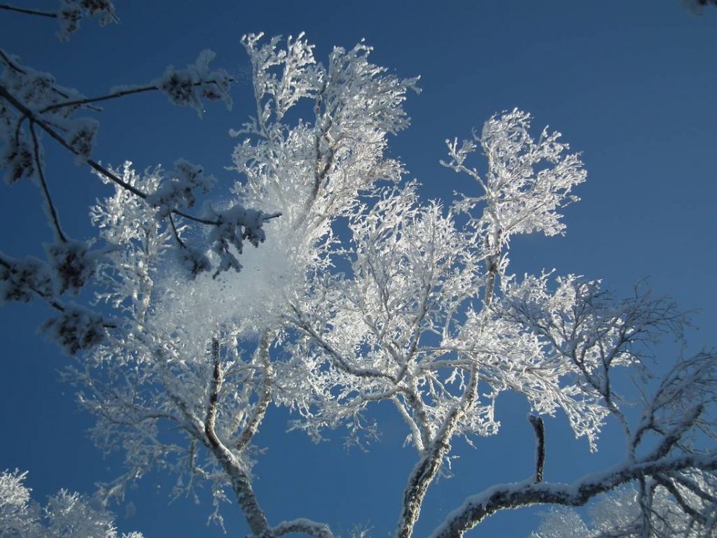 DSCF5790.JPG