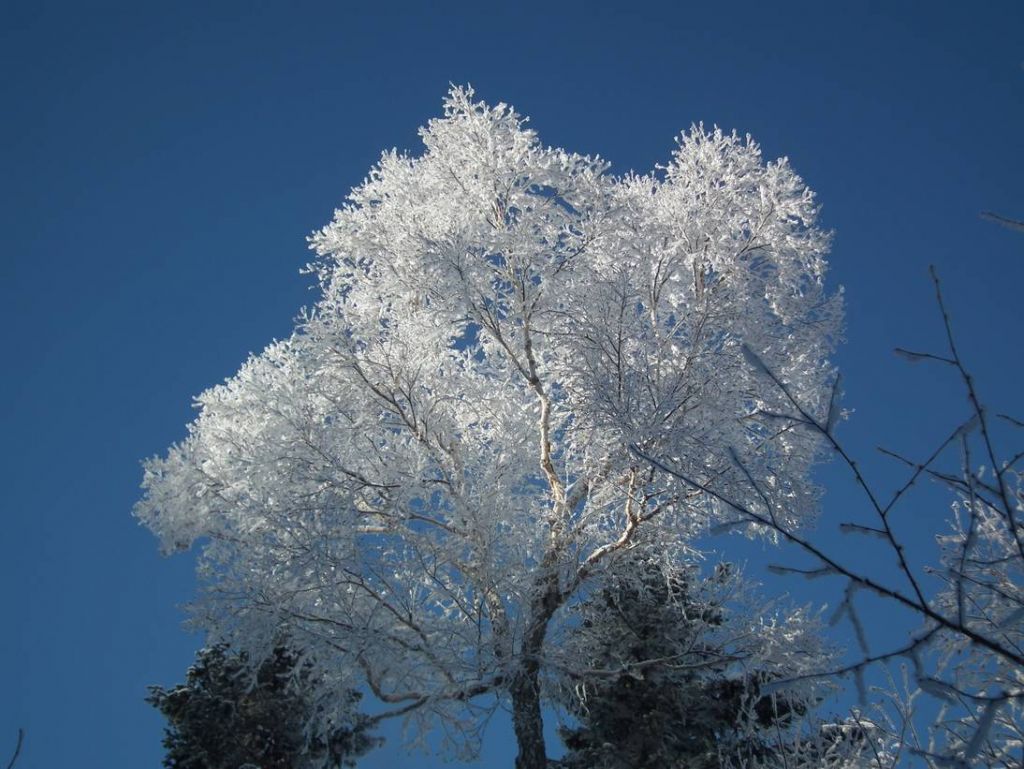 DSCF5825.JPG