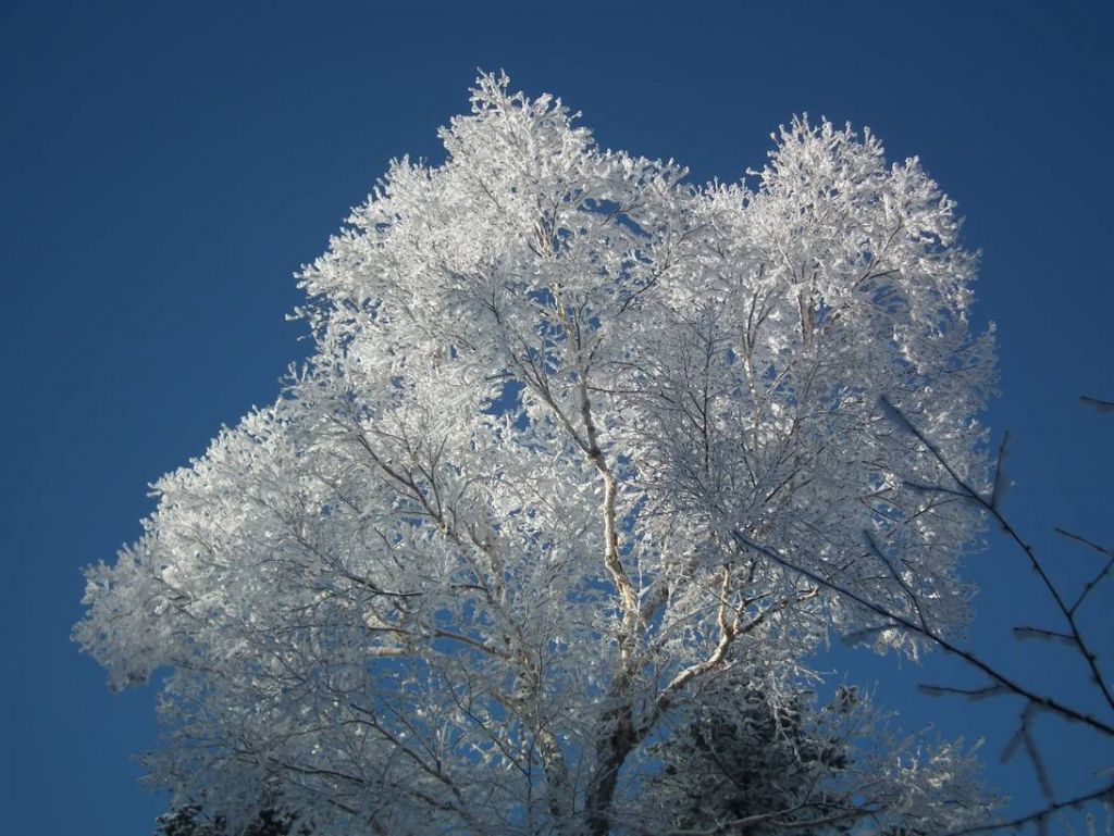 DSCF5827.JPG