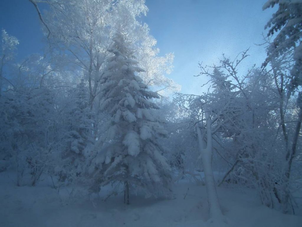 DSCF5876.JPG