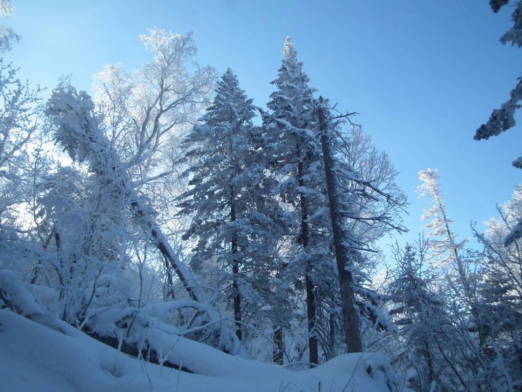 DSCF5872.JPG