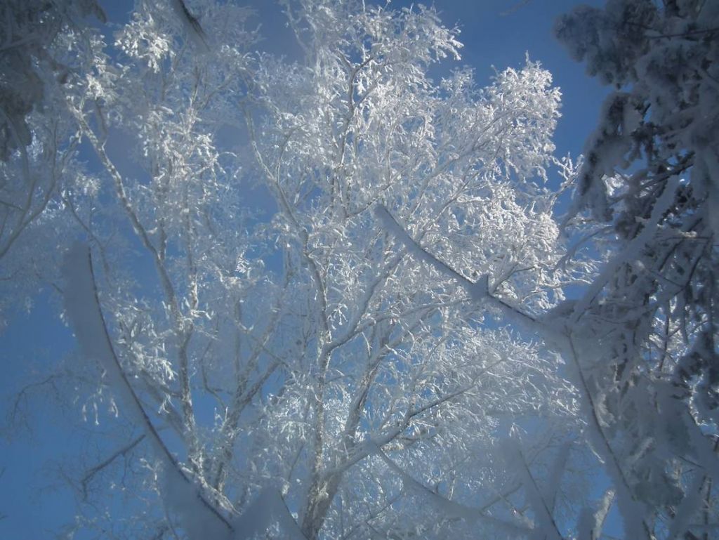DSCF5874.JPG
