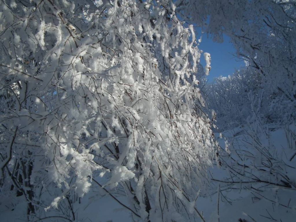 DSCF5897.JPG