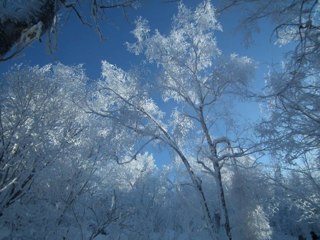 DSCF5891.JPG