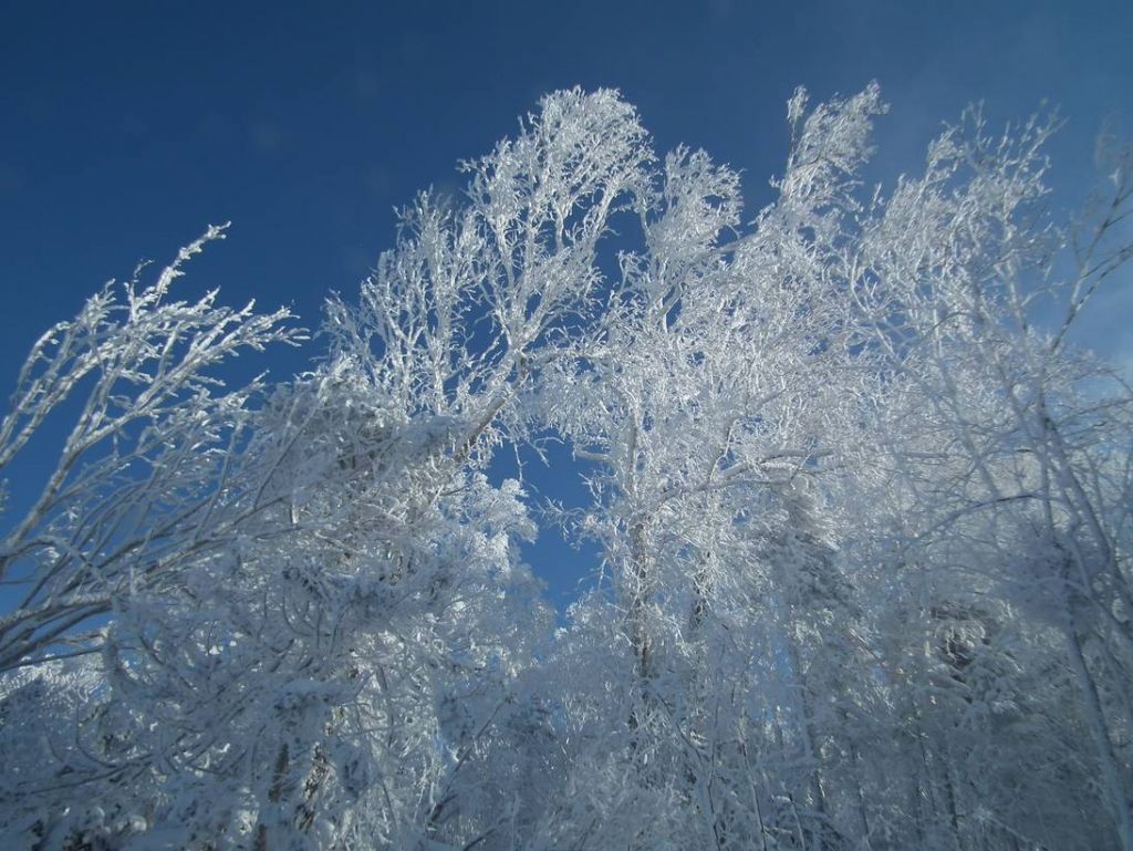 DSCF5930.JPG