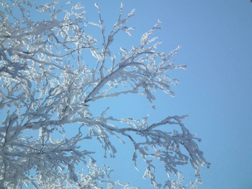 DSCF5894.JPG