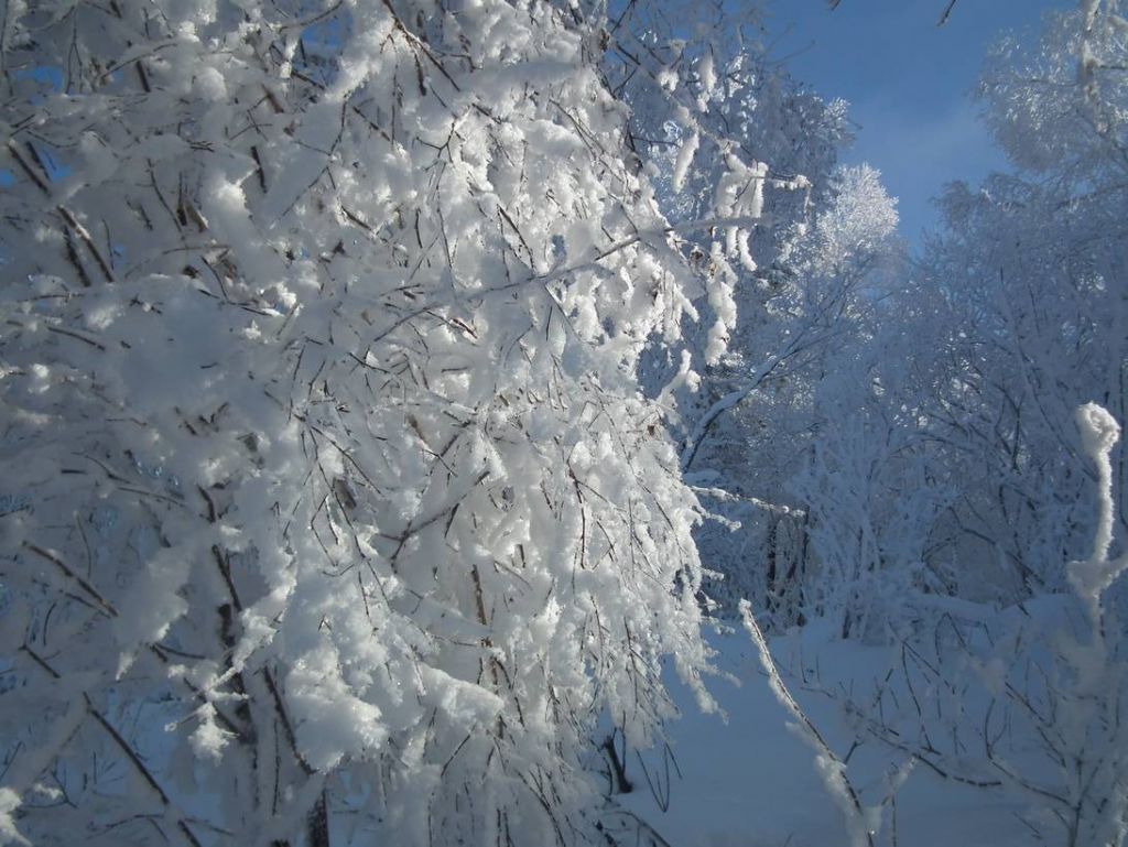 DSCF5896.JPG