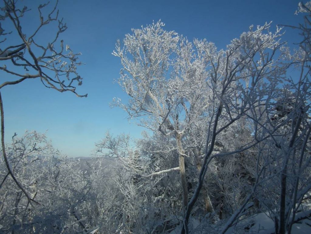 DSCF5929.JPG