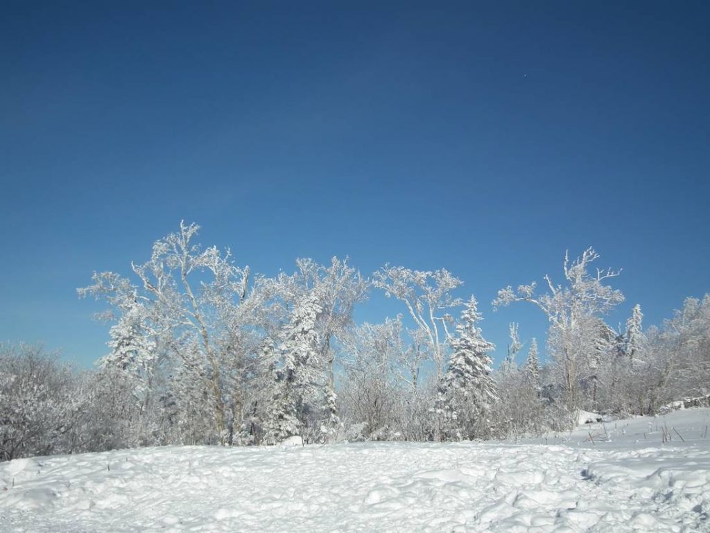 DSCF5984.JPG