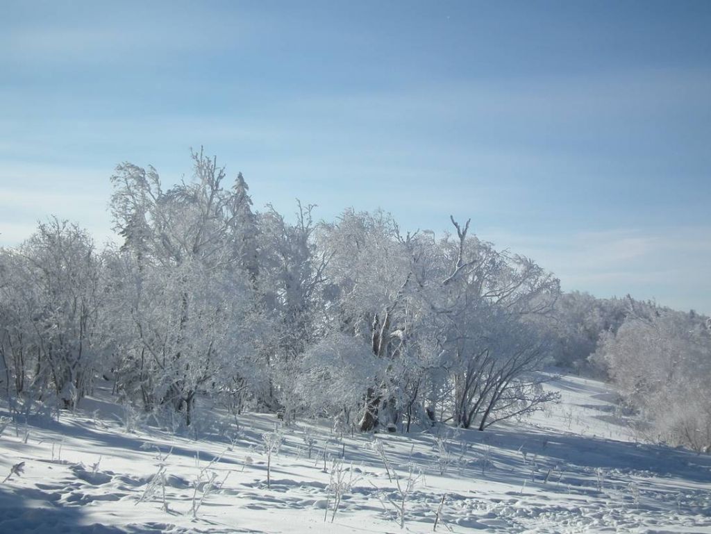 DSCF5986.JPG