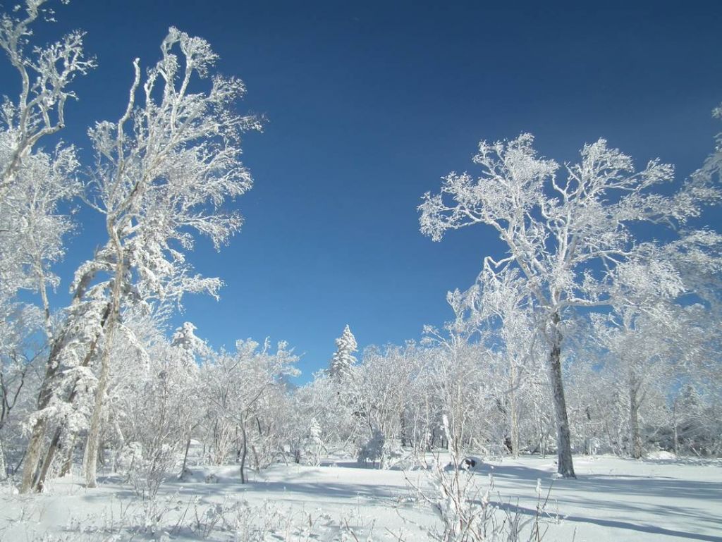DSCF5996.JPG