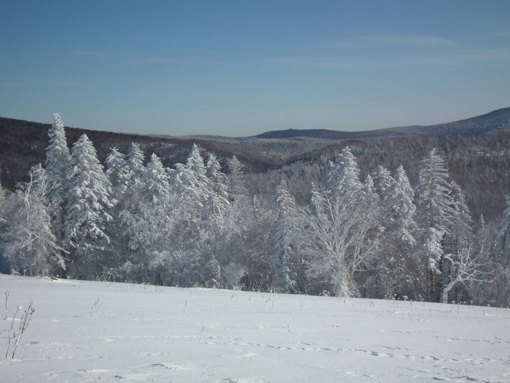 DSCF6033.JPG