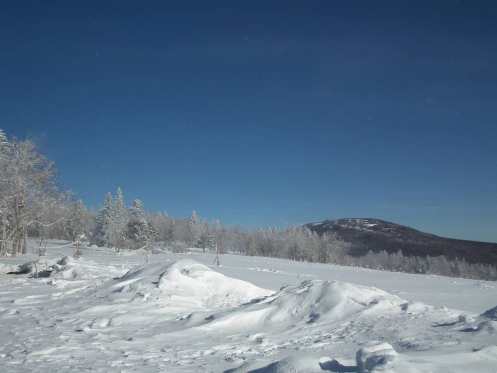 DSCF6018.JPG
