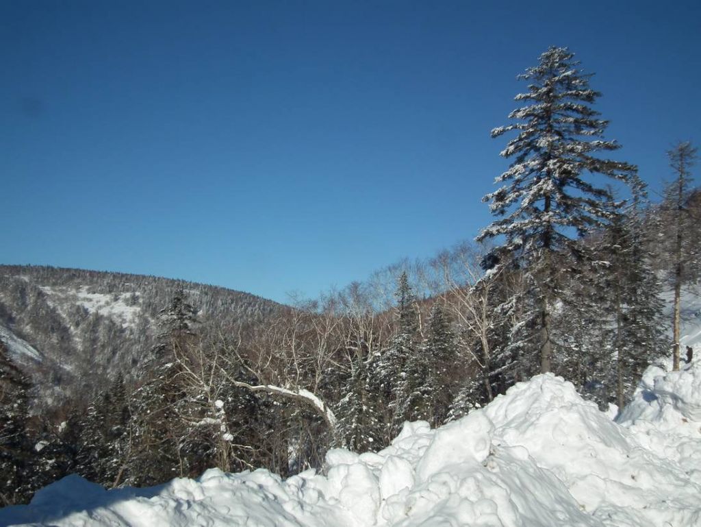 DSCF6286.JPG