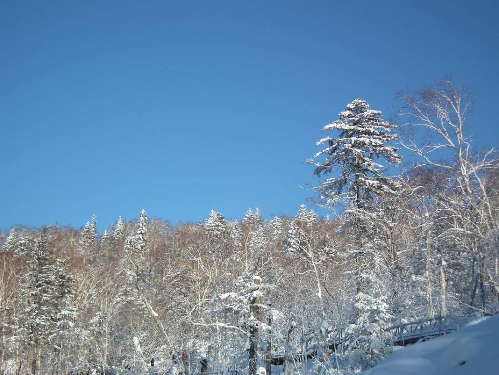 DSCF6288.JPG
