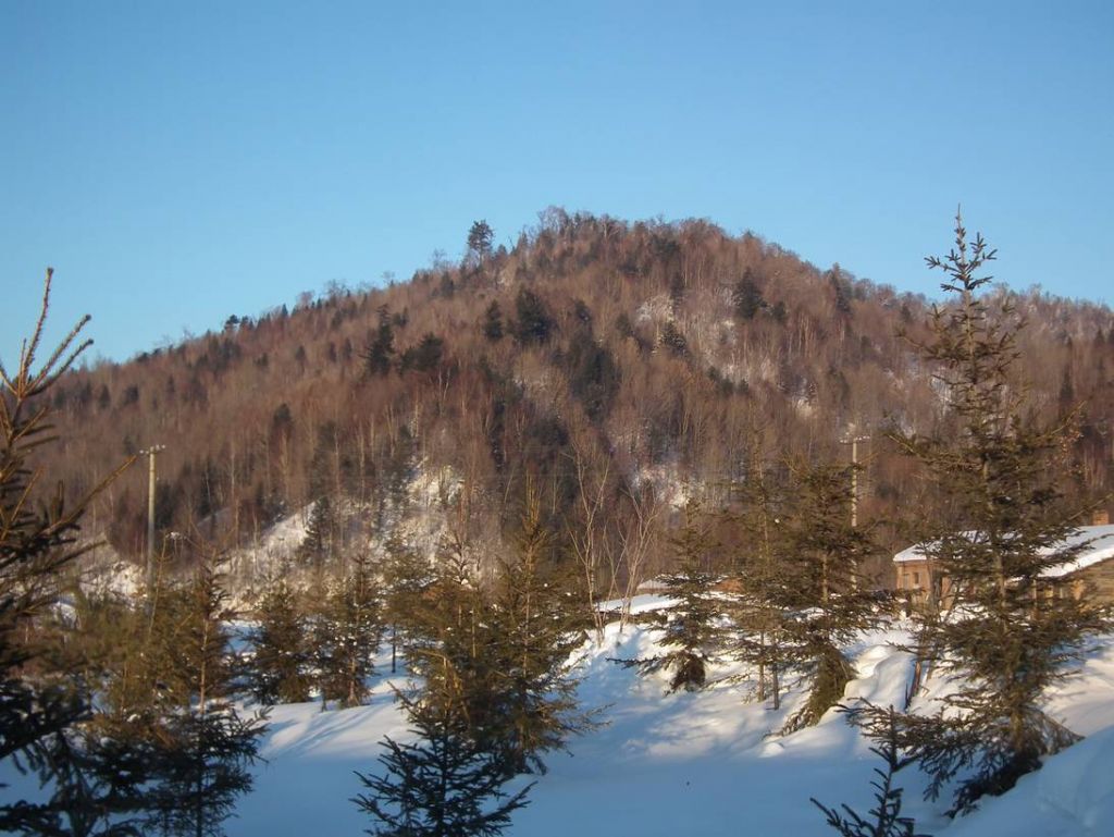 DSCF6348.JPG