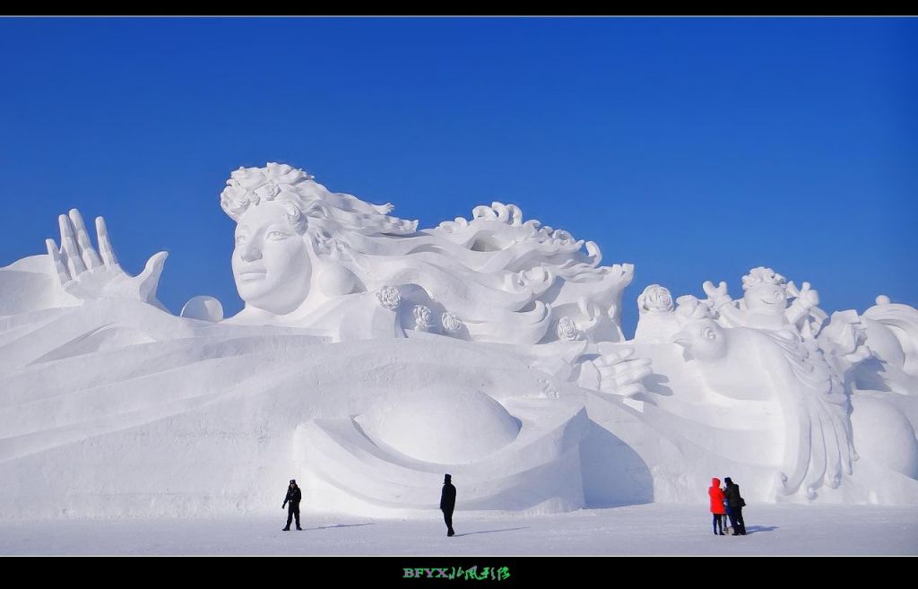 DSC03418_conew1.jpg