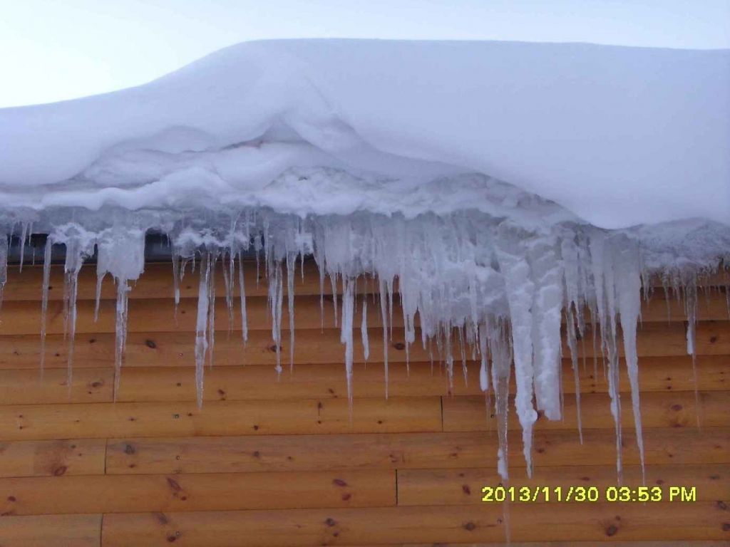 SDC13498.JPG