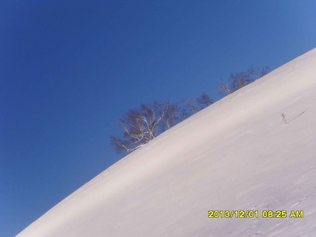 SDC13558.JPG