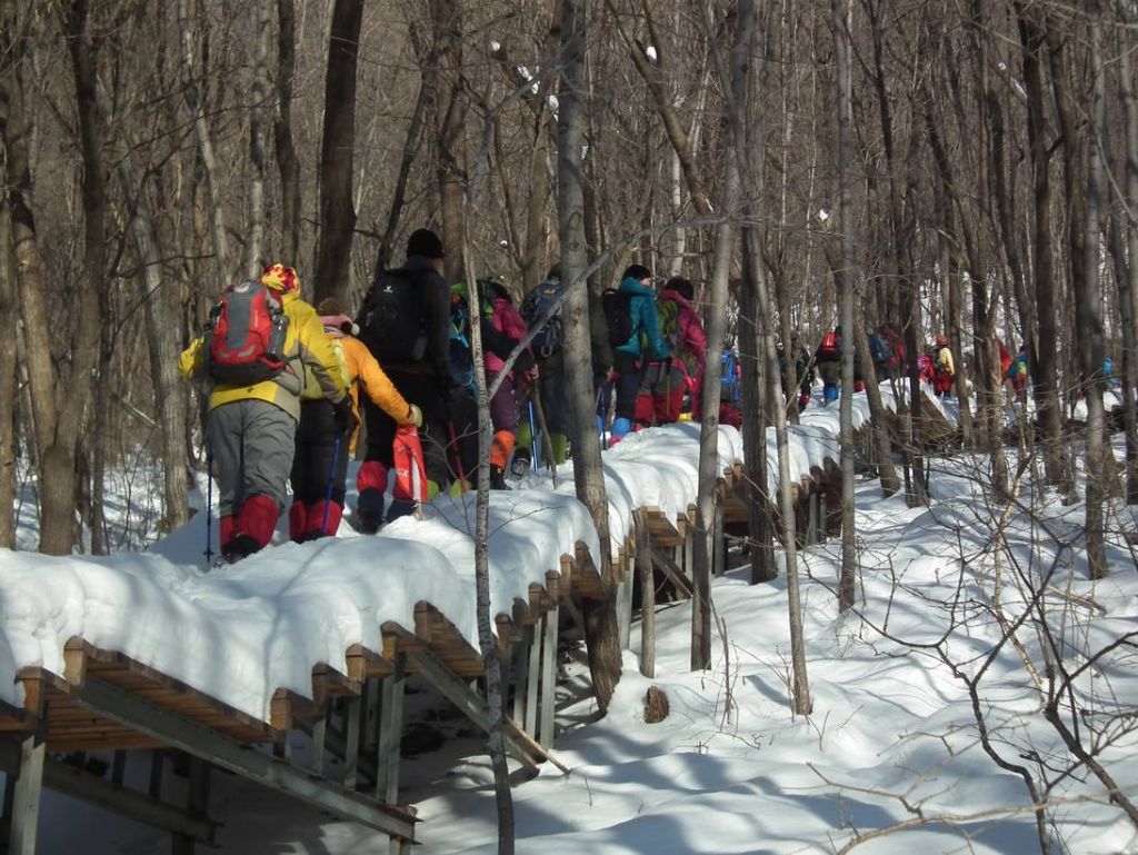 DSCF2713.JPG