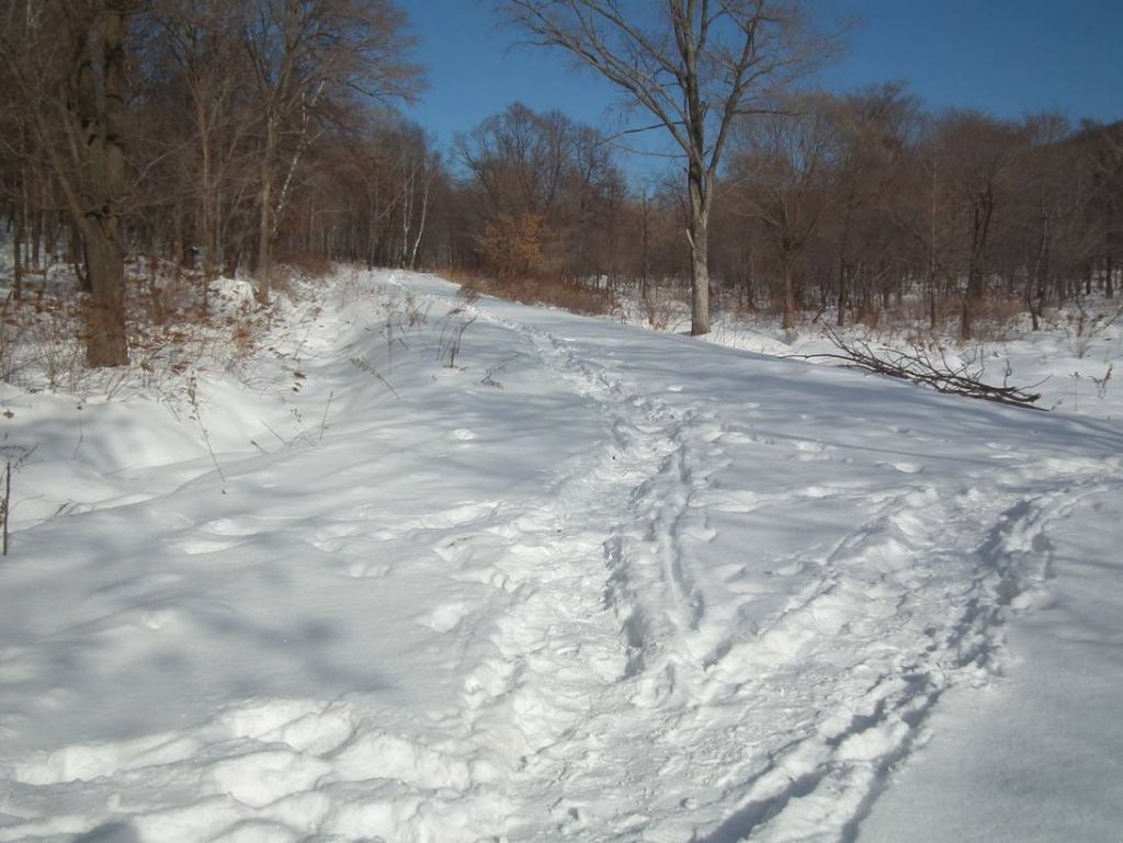 DSCF2801.JPG