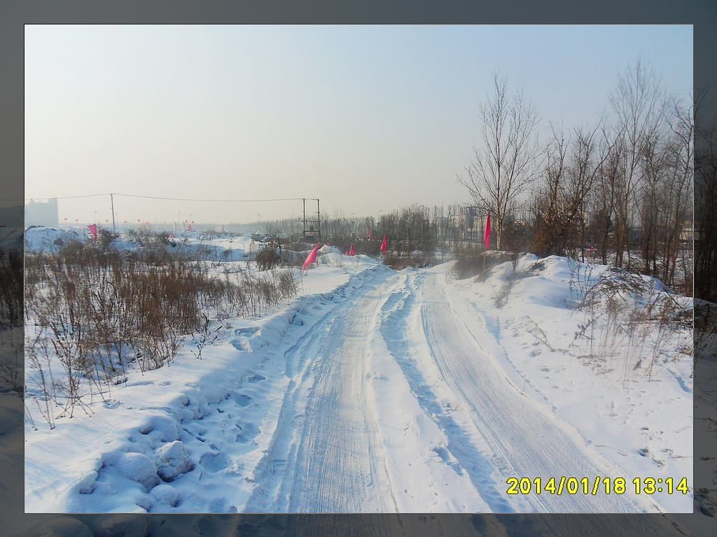 SDC10686.jpg