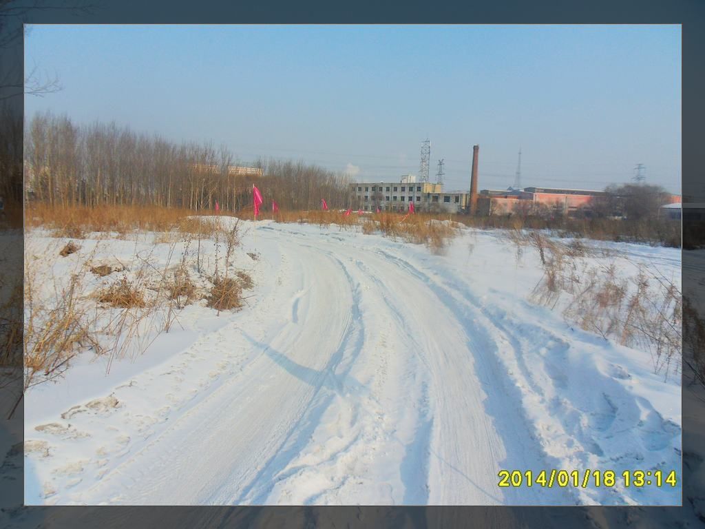 SDC10687.jpg