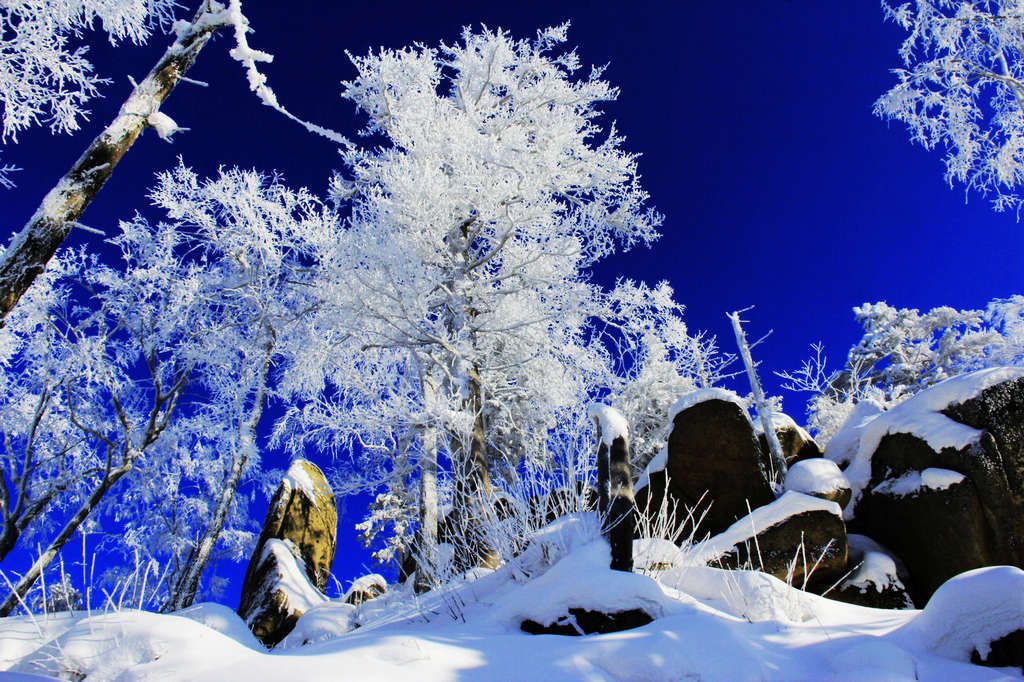 _MG_8868_����_1.JPG