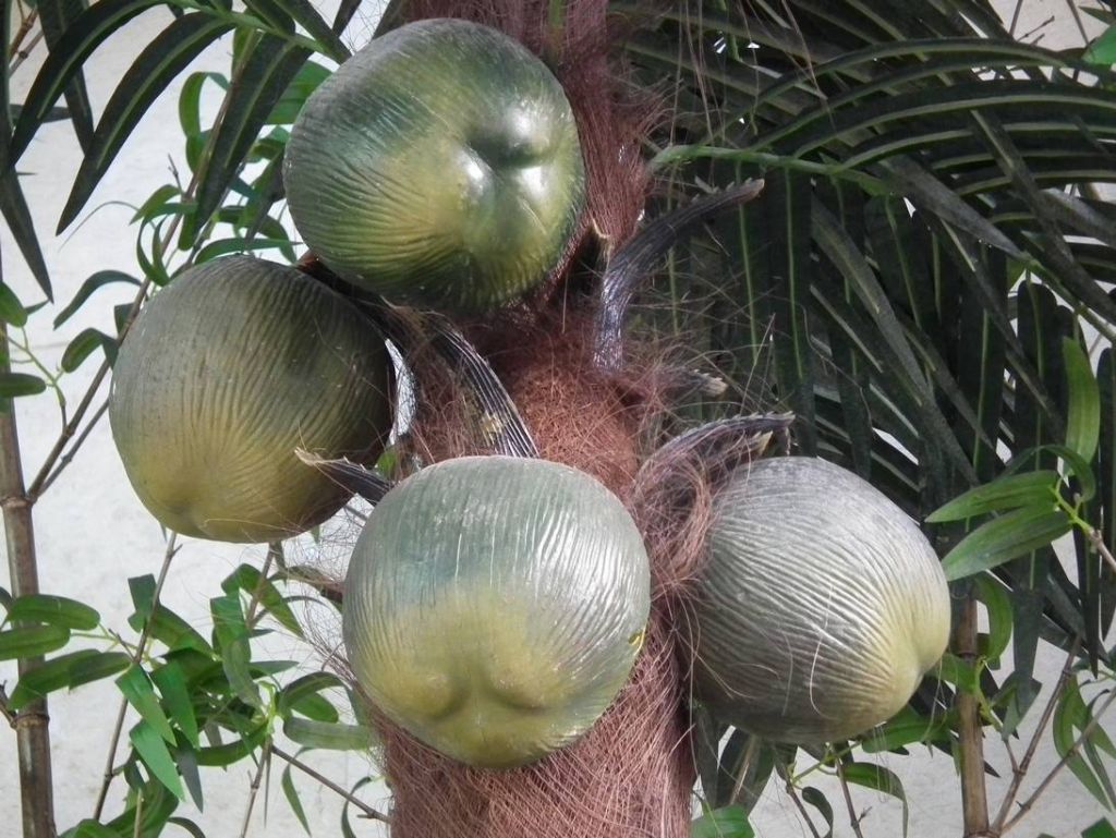DSCF9589.JPG