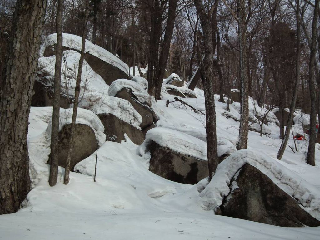 DSCF0461.JPG