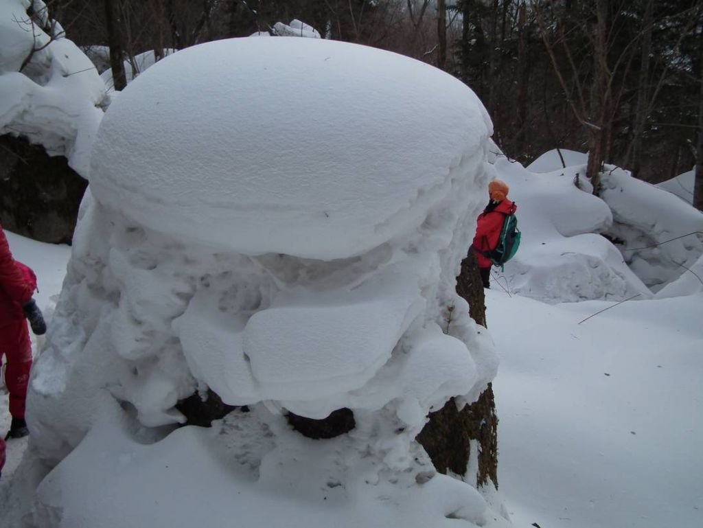 DSCF0647.JPG