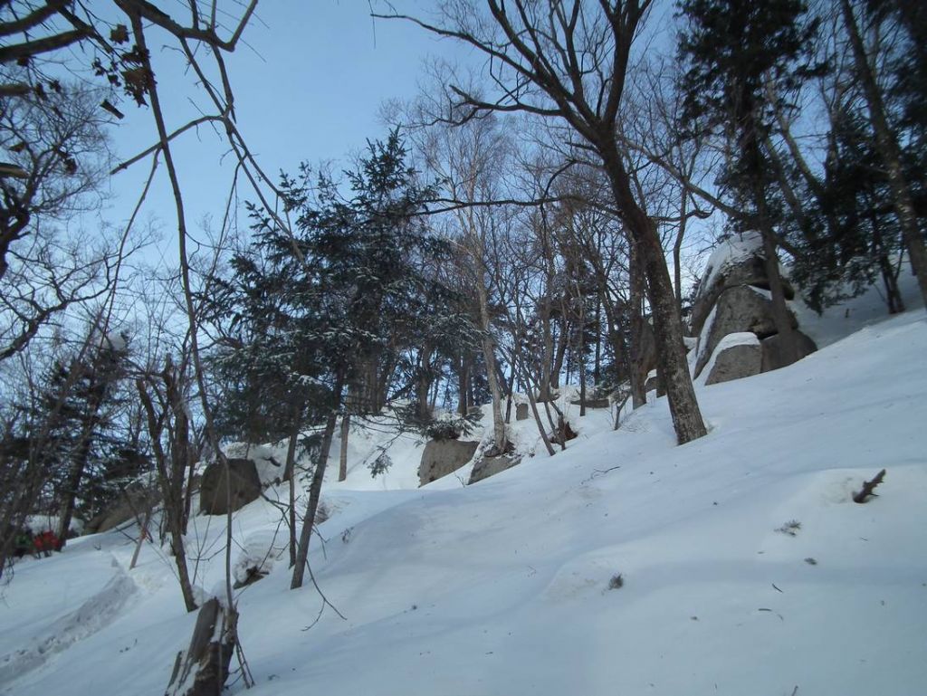 DSCF0552.JPG