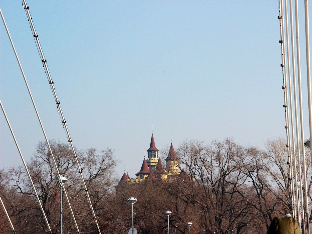 IMG_0868.jpg