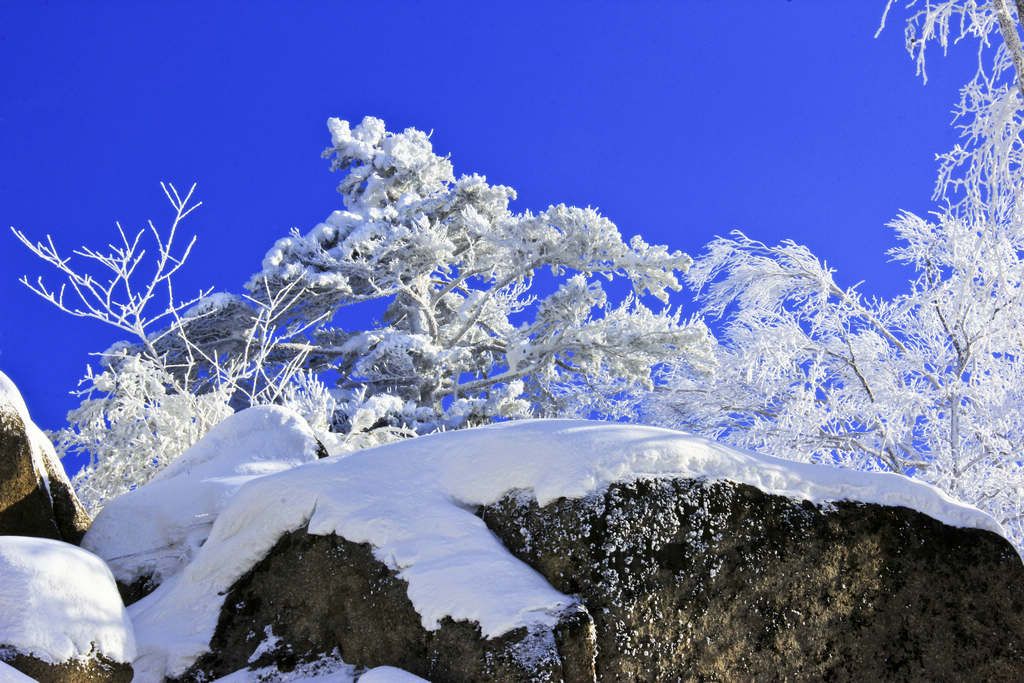 _MG_8870.jpg