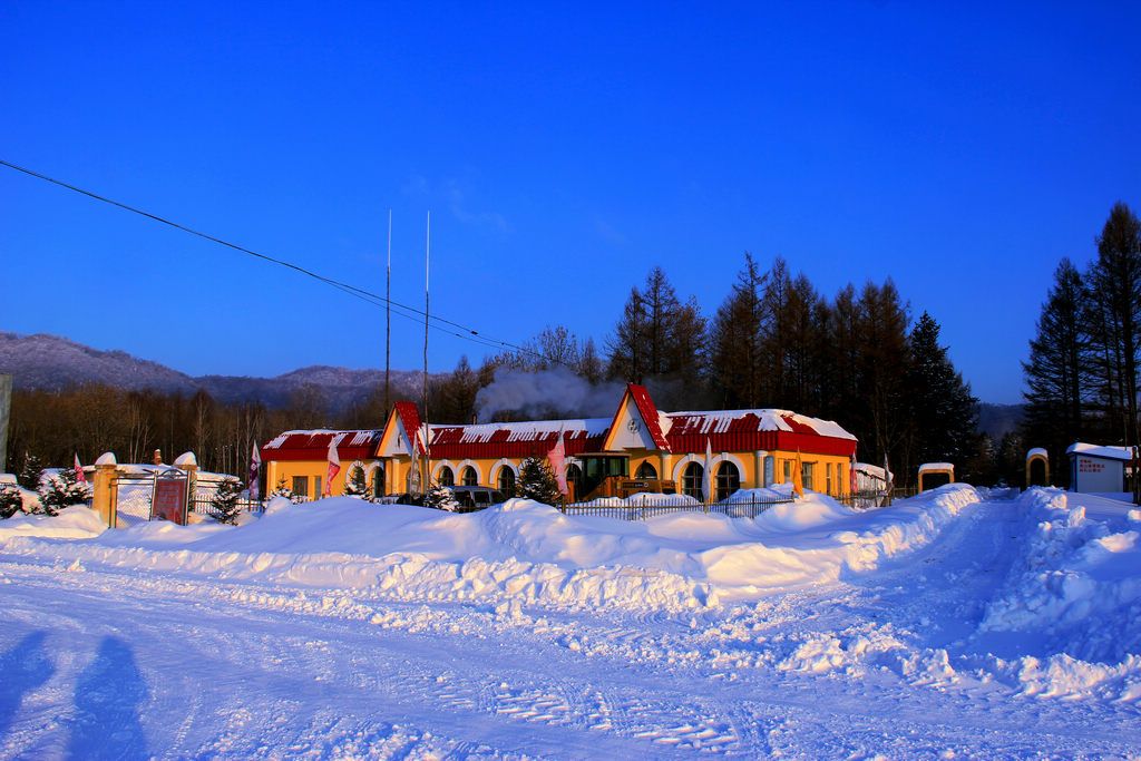 _MG_7784.JPG