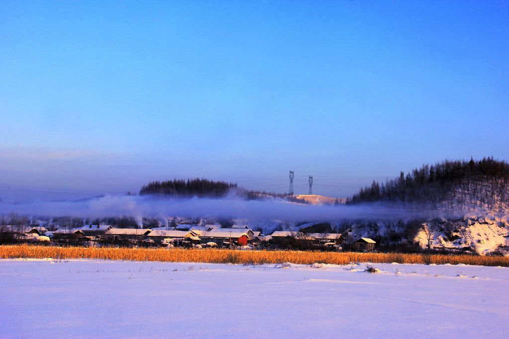 _MG_7814.jpg