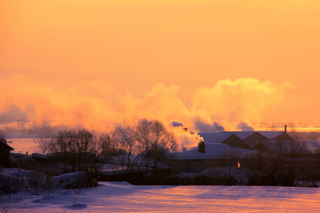 _MG_77751.jpg